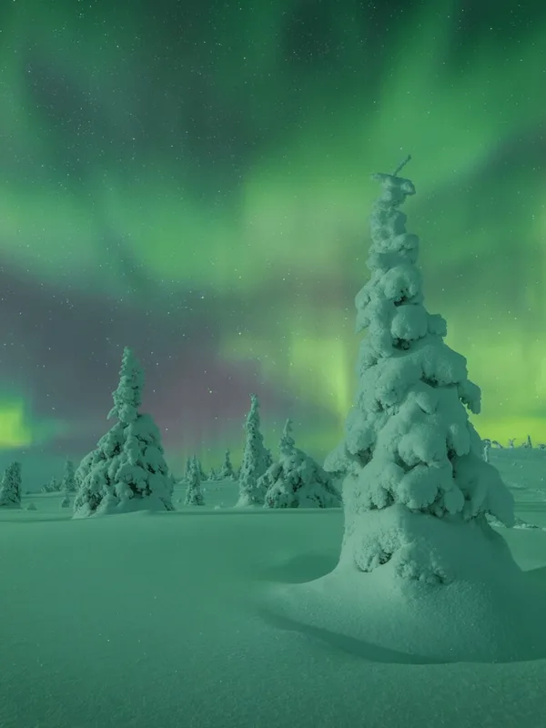 Vibrant Northern Lights over a snowy forest, titled Celestial Dance.